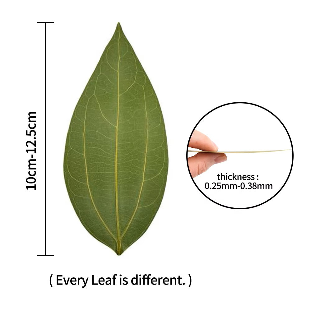 Your Photo on Adora Leaf