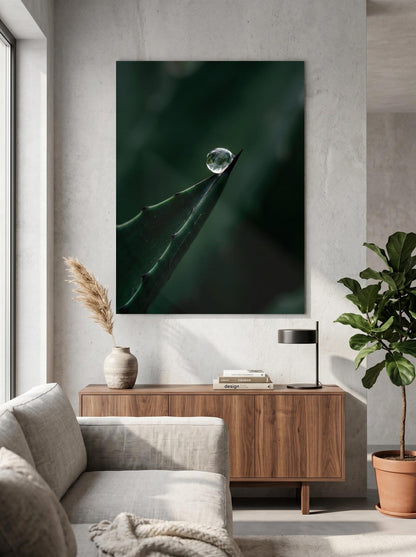 Moody Macro Nature Agave Leaf Botanical Wall Art Canvas