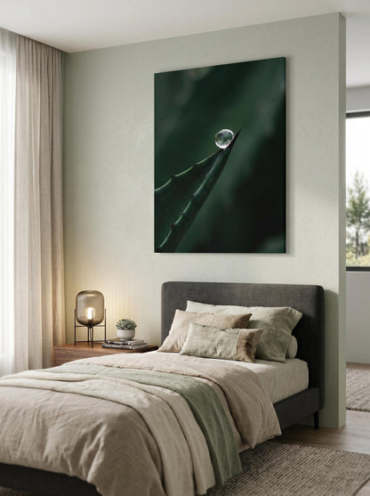 Moody Macro Nature Agave Leaf Botanical Wall Art Canvas
